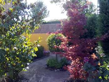 Jardineria Guadalajara