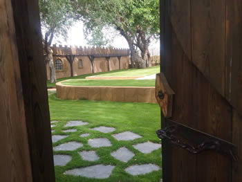 Jardineria Guadalajara