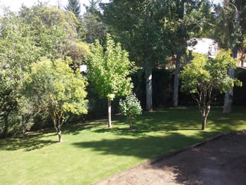 Jardineria Guadalajara