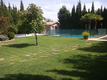 Jardineria Guadalajara