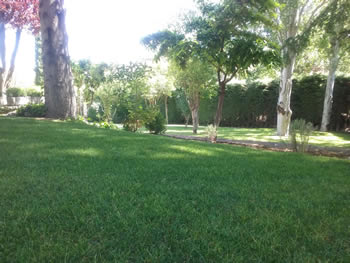 Jardineria Guadalajara