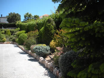 Jardineria Guadalajara